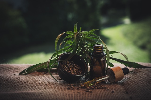 Ontdekkingsreis door de wereld van THC Olie: Alles wat je moet weten